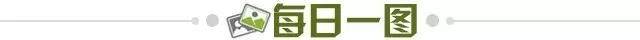 c9e98a12-180a-49aa-bdc2-00bc72c196e9.jpg@!img01
